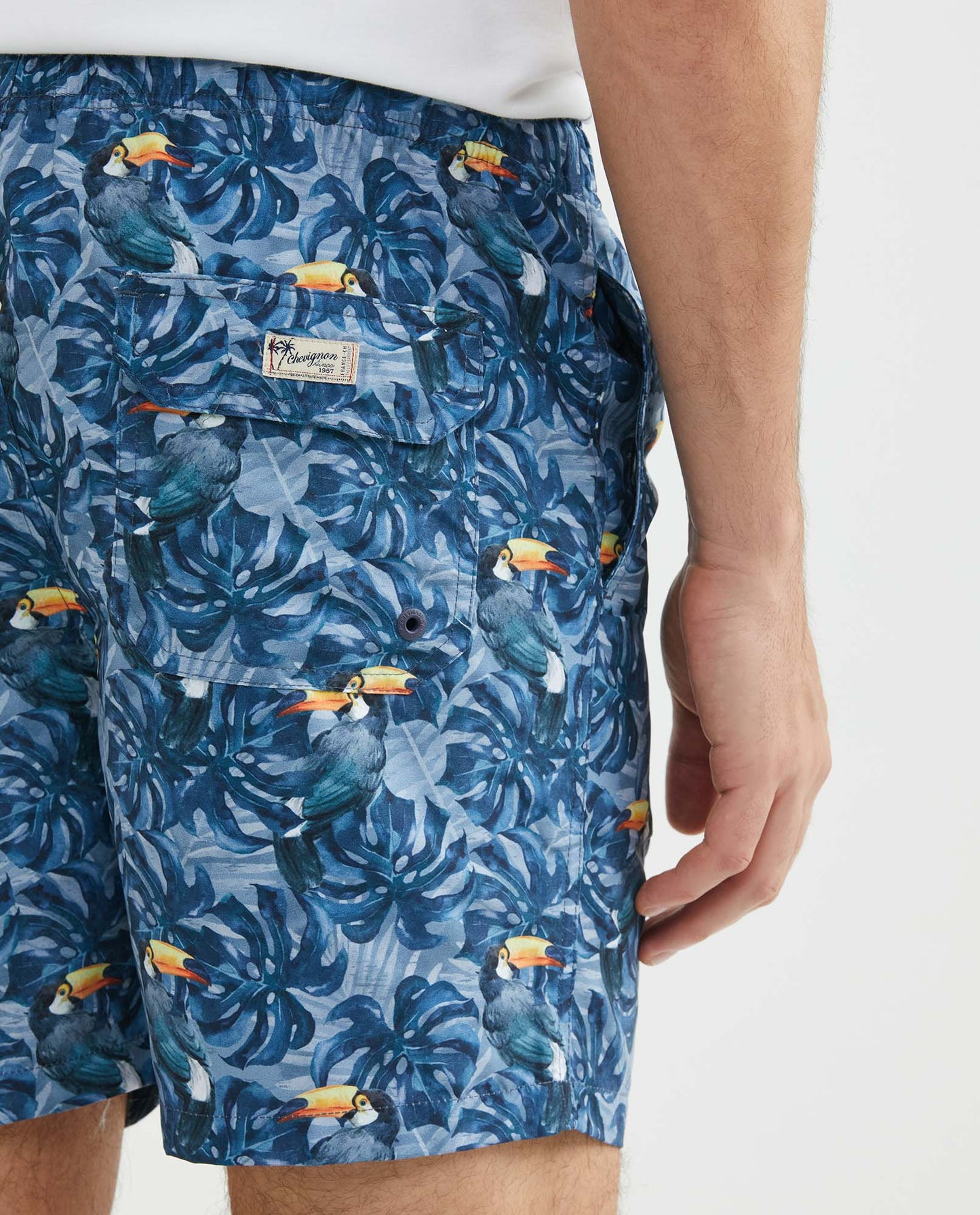 Men's Swim Trunks, Regular Fit - Leaf and Toucan Print - Blue - 5