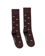 Mens Socks Mid Calf Cotton Elastane Dog Graphics Chevignon - Brown 63_051H002_CAF191325_0