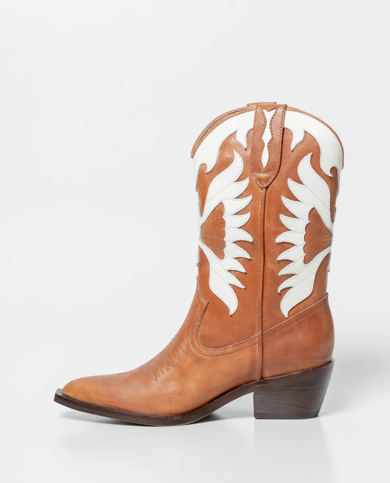 Bota Femenina - Brown 63_262G003_CAF171311_4