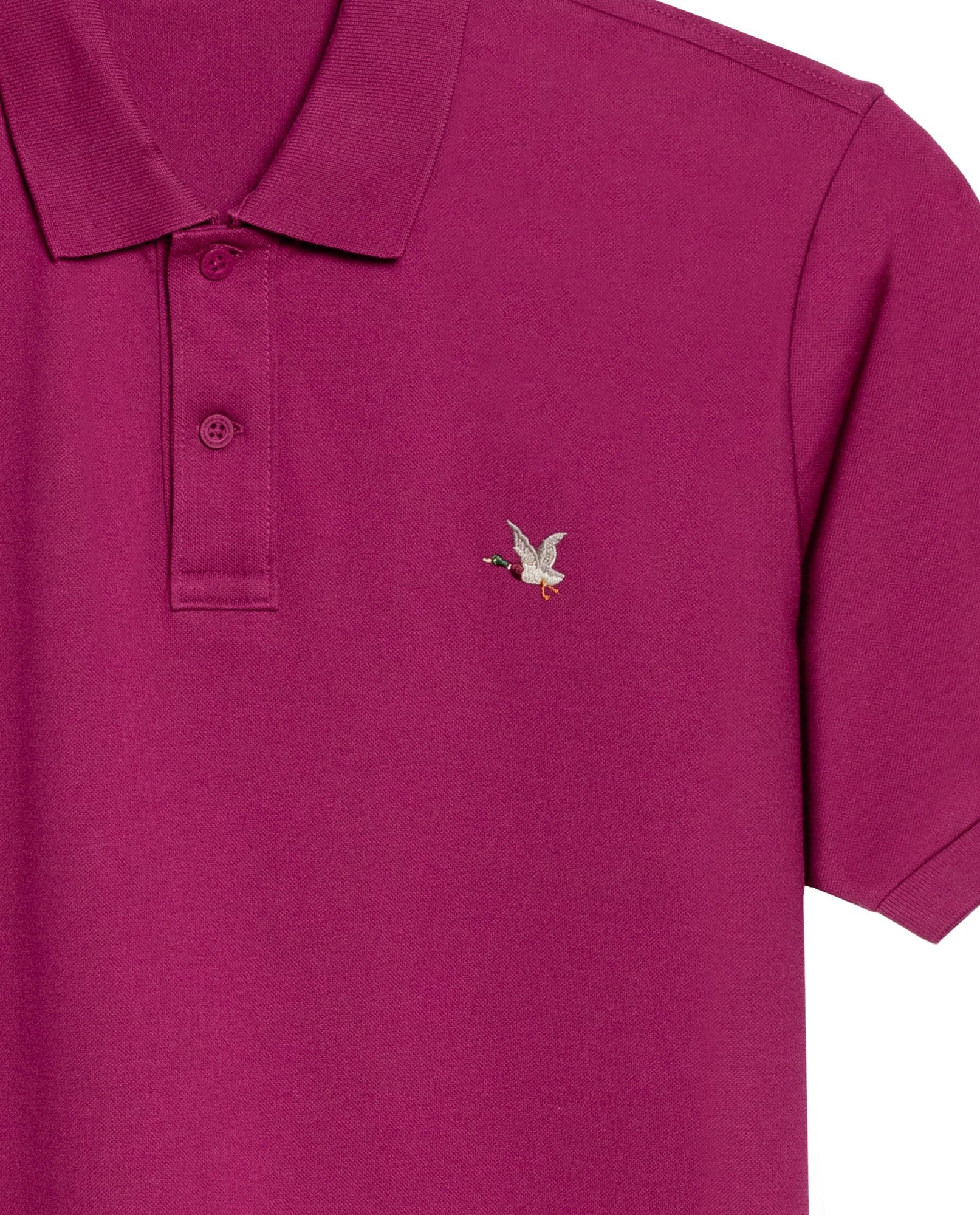 Camiseta Tipo Polo para Hombre - Purple 63_609G001_MOR192432_8
