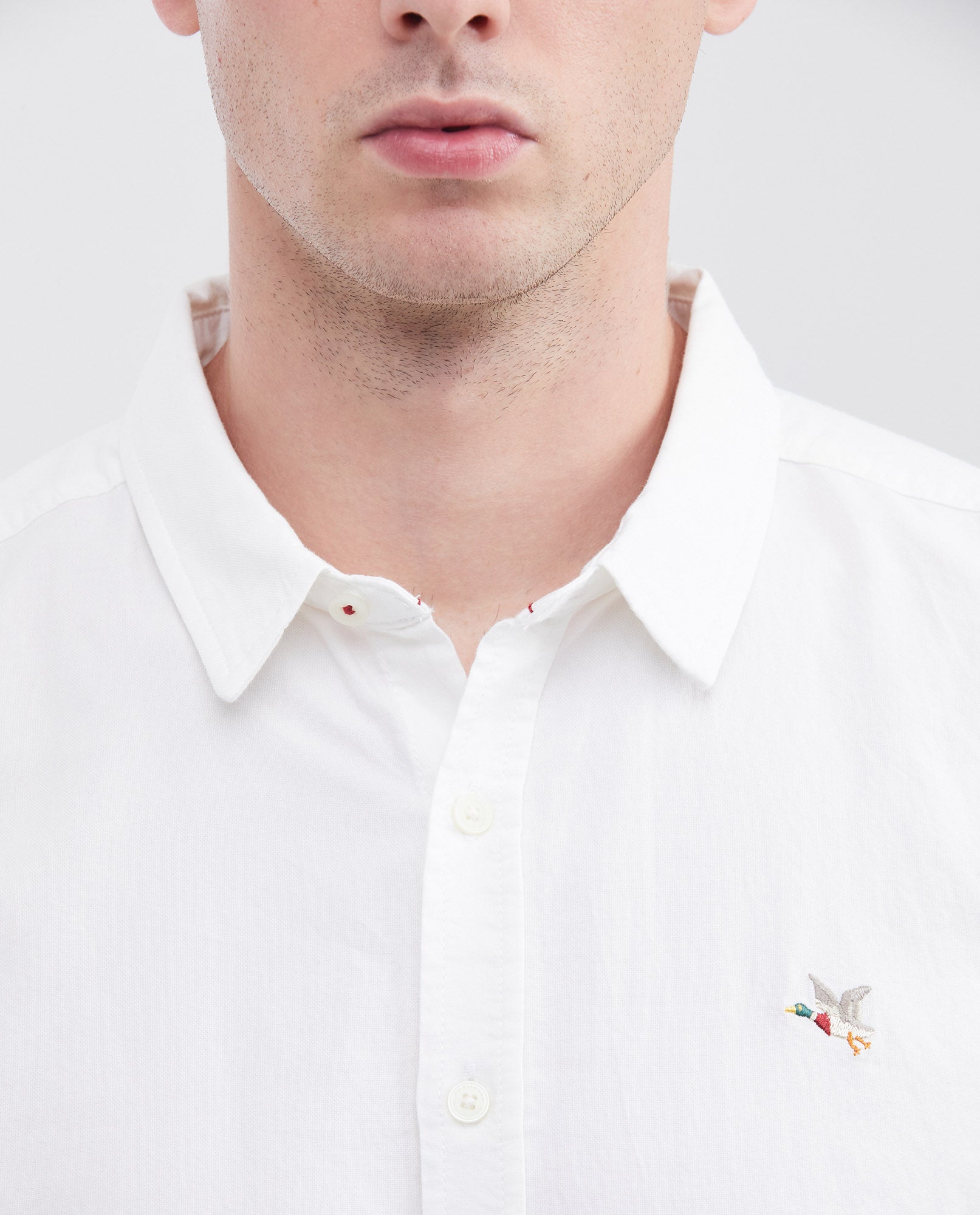Camisa Manga Larga Algodón Masculino - White 63_610F027_BLA110601_5