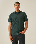 Mens Shirt Short Sleeve Slim Fit Spread Collar Poplin Cotton Lycra Woven Pocket Label - Green 63_611H001_VER195212_0