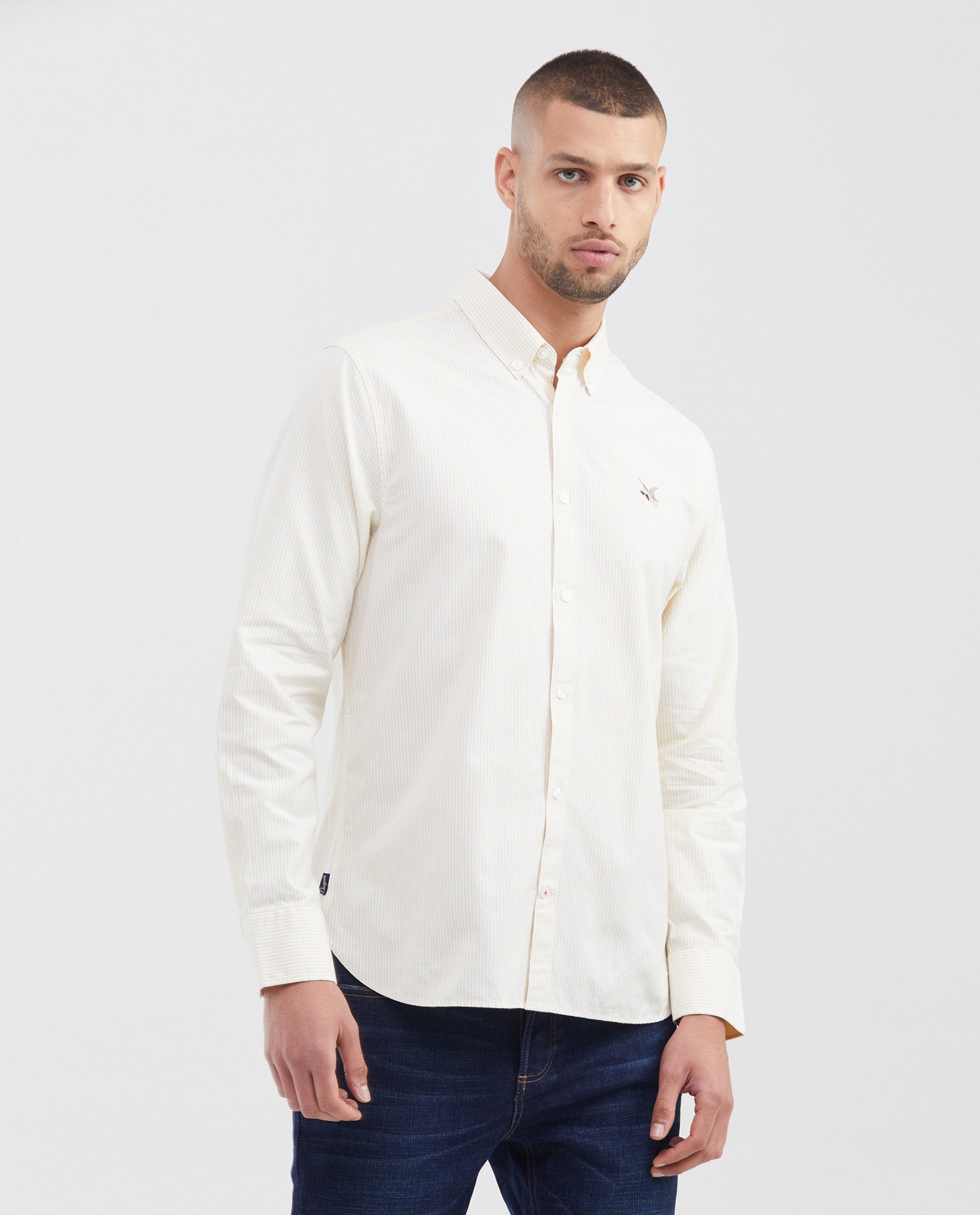 Men's Striped Oxford Shirt Spread Collar in Cotton - 1