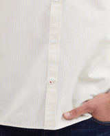 Men's Striped Oxford Shirt Spread Collar in Cotton - 4