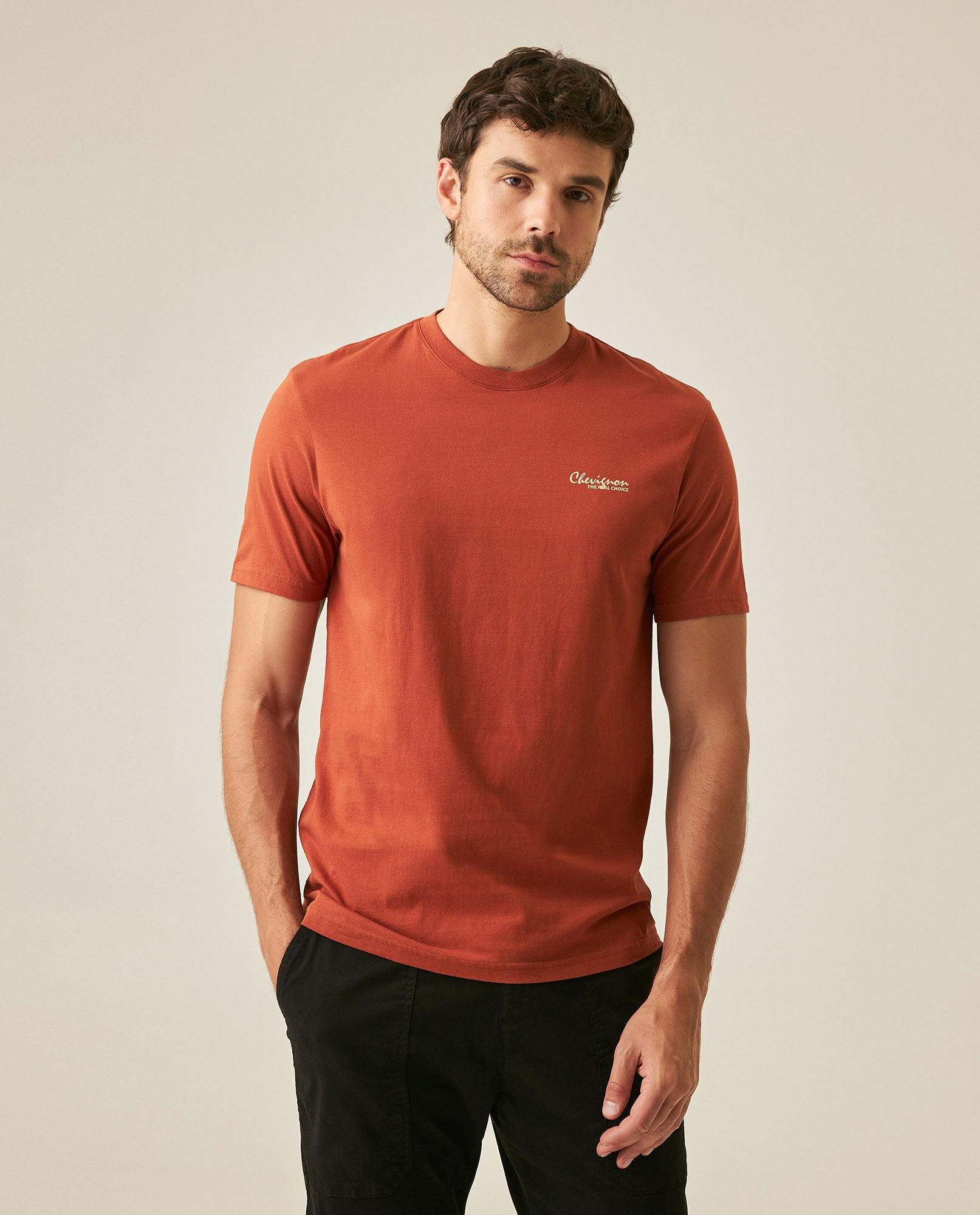 Mens T-Shirt Slim Fit Short Sleeve Cotton Jersey Medium Weight Front Graphic Back Superprint - Brown 63_641H007_CAF191245_0