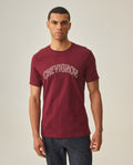 Men´s Regular Fit T-Shirt - Red 63_642H010_ROJ191522_0