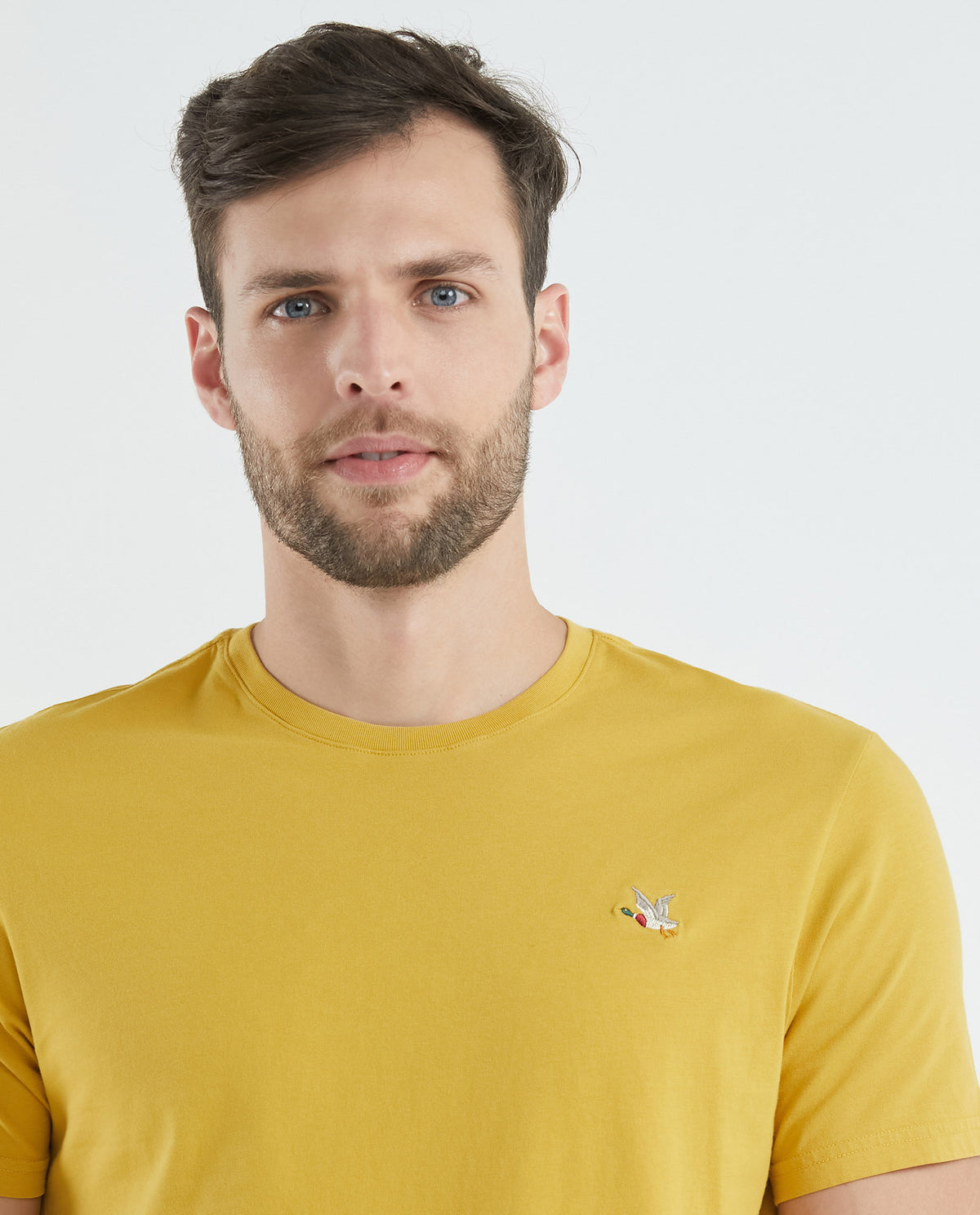 Men's Basic T-Shirt, Slim Fit Crew Neck - 100% Cotton - Yellow 649D001 - 4
