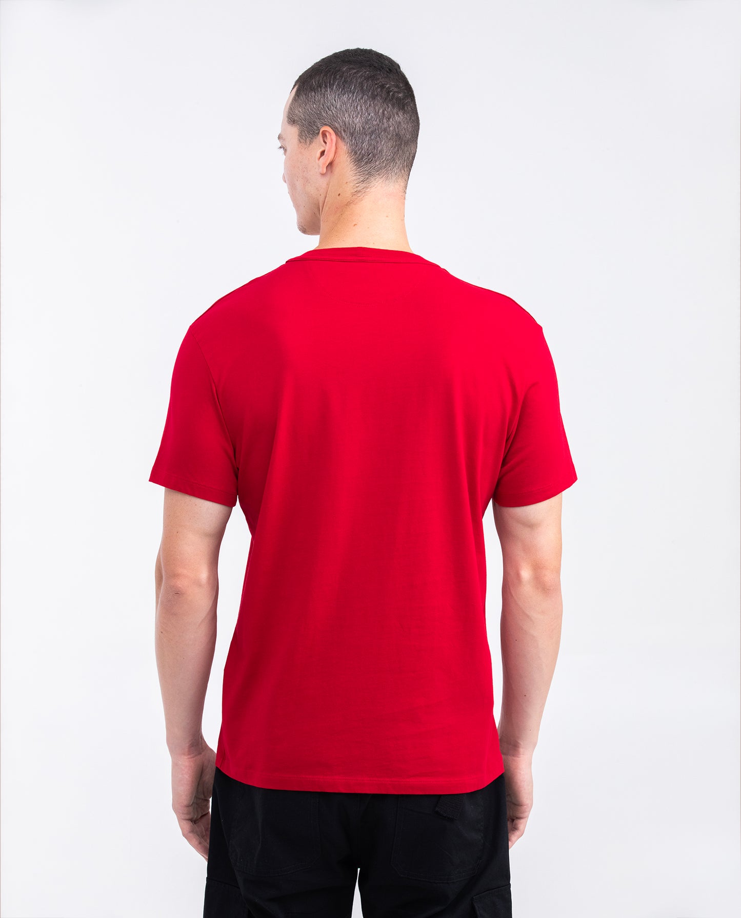 Men's Graphic T-shirt, Slim Fit - Shield and Flags Print - Red - 5