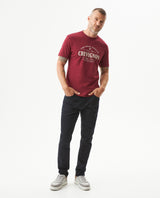 Men's Slim Fit T-shirt in Cotton, Mariner - 2